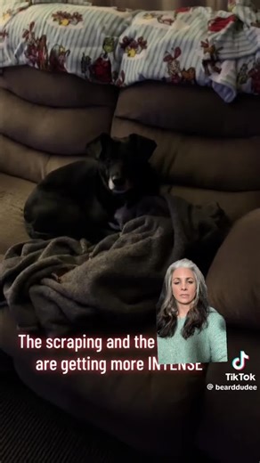 Video @Nate Join us! @Maryam Faresh a psychic medium & Harlow @TRUE-CRIME-PSYCHIC-EYE our intuitive researcher as we discover the truth behind some of the most nd haunted stories being shared online! Tag us in your favorite haunted story to find out the WHY behind the haunting! Check out our Patreon (link in bio) for exclusive haunted content, behind the scenes and more! #psychicreading #hauntedhouse #paranormaltiktok #paranormal #psychicmedium