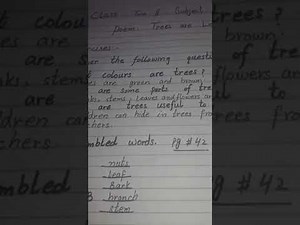 English Class 2 exercise trees are lovely