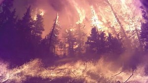 1.4M views · 133 reactions | See and hear the inside of a raging...