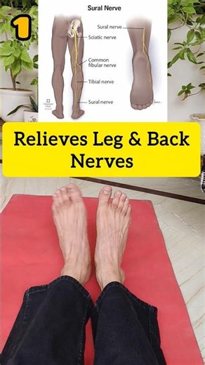These Exercises Relieves Sciatica Pain #painrelief #exercise #fitness