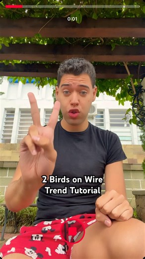 2 Birds on Wire Trend Tutorial - Subscribe for results//Subscribe for the results #viral
