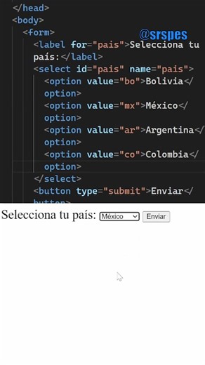 Cómo funciona la etiqueta option en HTML