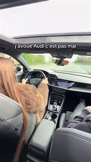 pas mal du tout 🫣@ElviraPrestigeCars pour la belle location 🚀 #fyp #audi #rs3 #rs3sedan