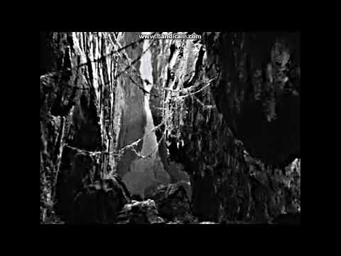 King Kong spider was always there.