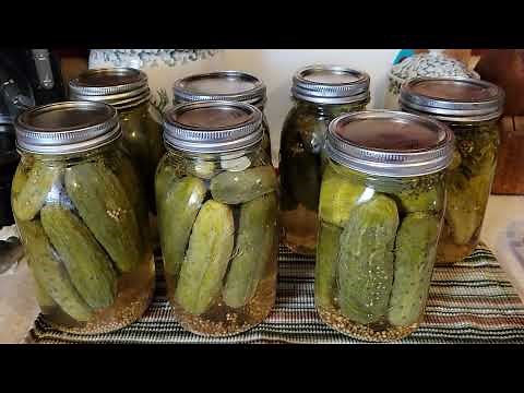 Grandma's Crunchy Dill Pickles