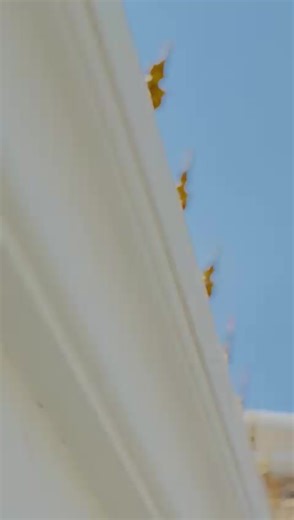 MILLIARDAIRE CACHÉ 🇨🇲 (@milliardaire_cache1)’s videos with son original - Laminou chef