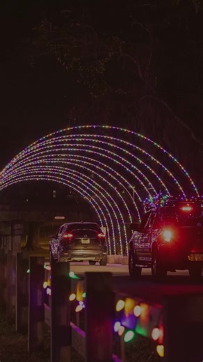 Lights Along the River is officially glowing! Bring the fam, take it slow, and soak in the sparkle. 🎄🌟 #LightsAlongTheRiver #HolidayInBainbridge #VisitBainbridge