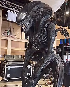 122K views · 3.2K reactions | Así es el impresionante animatronic del "scorched xenomorph" en el set de ALIEN ROMULUS. #reelsfbシ #reel #reelsvideoシ #reels #reelsviralシ #AlienRomulus #aliens #Alien #cine | Freakcultura | Facebook