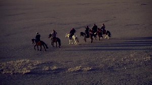 21K views · 1.2K reactions | Steve McCurry: Animals Take a look at some behind the scenes footage from my new book, “Animals.” To purchase your own copy click the link below: bit.ly/34qZd0G | Steve McCurry - Official Page | Facebook