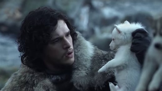 Jon Snow's direwolf Ghost made an appearance in Game of Thrones