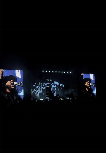 System of a Down Concert in Chile 2025: Lonely Day