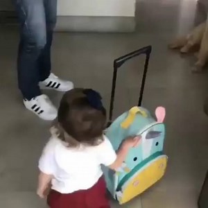 110K views · 3.6K shares | Me everytime I see a doggo ❤ | DogSpot | Facebook