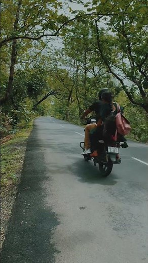 Jambughoda Wildlife Sanctuary: Exploring India's Pristine Natural Beauty #nature #wildlife #love