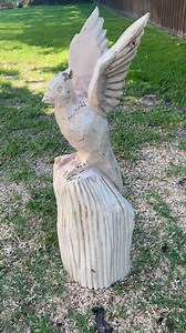 5.9K views · 193 reactions | Pecan cardinal I carved today | Della Meredith Chainsaw Carvings | Facebook