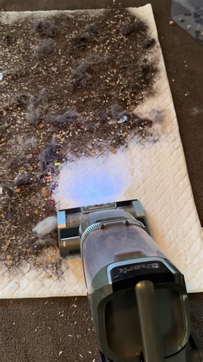 Brush roll magic with my shark! This thing EATS! 🤤 #oddlysatisfyingvideo #cleantok #asmr #vacuum @Shark Home