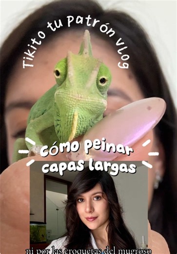 Tutorial de peinado para camaleón en México