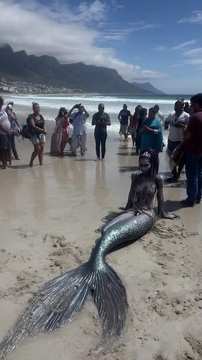 Mermaid Shockingly Washes Ashore in South Africa