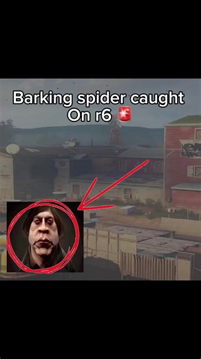 This is a rare sighting I belive? @not.rezz #r6 #gaming #funny #fyp #viral