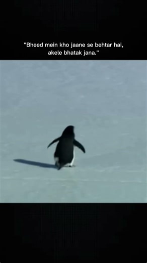 Penguin choosing death symbolism #NihilistPenguin #WernerHerzog #LifeIsAbsurd #PhilosophyExplained