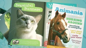 ANIMANIA: Your ultimate guide to animal care! RSPCA's Animania magazine is out now and is perfect for animal lovers of all ages. Get the latest in expert tips, DIY projects, awesome articles and more! SUBSCRIBE TODAY: http://rspcansw.org/2jV7c32 | RSPCA NSW