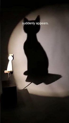 Shadow Illusion | Objects Creating Mind-Blowing Shadows Under One Light.