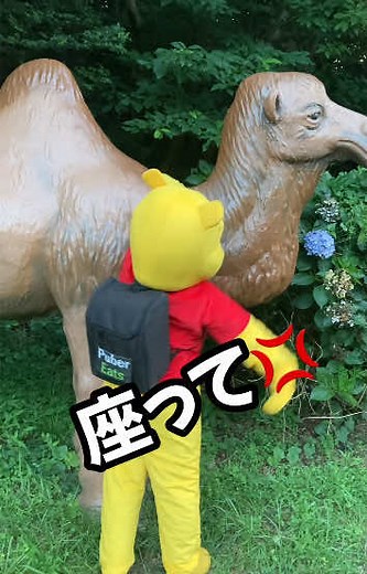 Winnie-the-Pooh #disney#ディズニー#プーさん