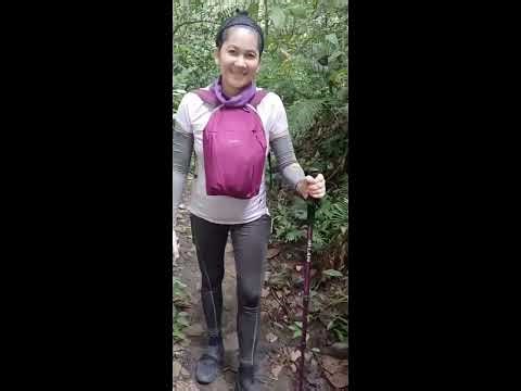 Mudspring Trail, Mt. Makiling in Los Baños, Laguna, Philippines