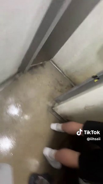 Stratford Toilet Review: A Humorous Look at Facilities