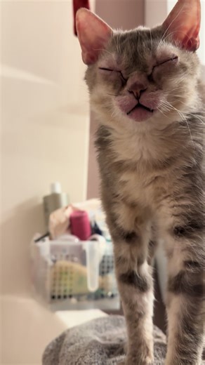 Goblin Season 2: Unleashing Mischief!