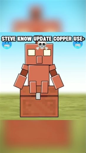 Steve know what Is Use Copper Update 💀 #minecraft #animation #tweening #shorts