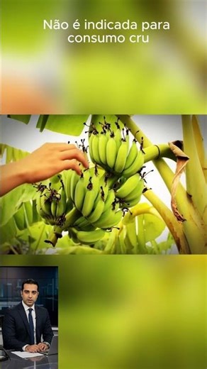 Banana Plantain