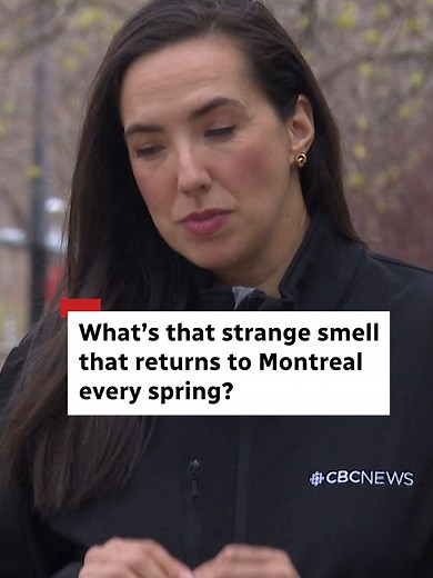 Why Montreal Smells of Manure Every Spring | Agricultural Economist Explains