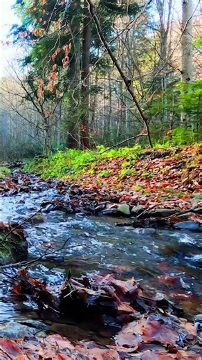 💡 思考をクリア静かな音楽 | Lofi Hiphop