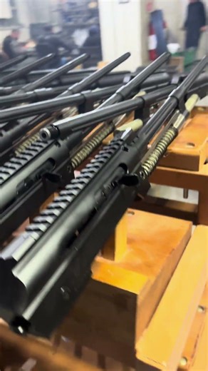 5.56 Rifle Internals