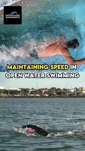 15K views · 66 reactions | Tips for Open Water Swimming: 1. Faster and wider recovery over the water. 2. Start the catch sooner. 3. Increase stroke rate. #OpenWaterSwimming #swimmingtips | Effortless Swimming | Facebook