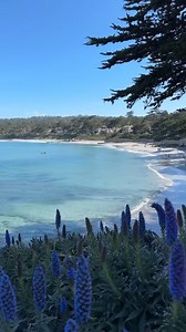 71K views · 2K reactions | Ready for the ultimate Spring Break? The Monterey Coast has it all: wine tasting, hiking, beaches, delicious food, and Big Sur, all in an easy day trip!  ✨ For more inspiration and to start planning your perfect getaway: https://bit.ly/3EFMFKs  @bontravelerMonterey County | See Monterey | Facebook