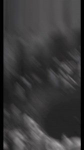 Facts of Israel #reels | Realbiblestories