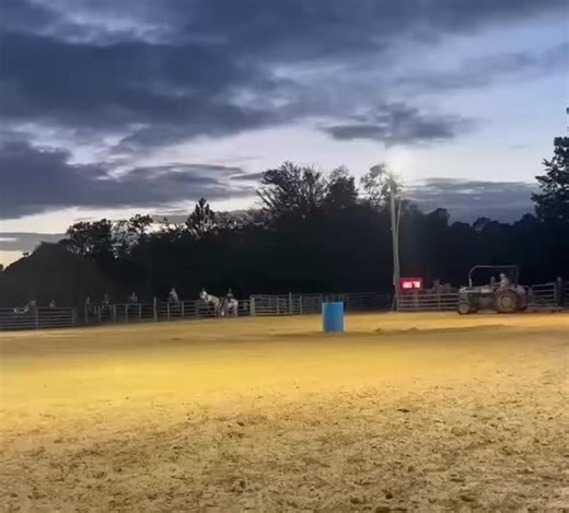 The queen does it once again and wins poles and barrels this mare is unstoppable #fyp