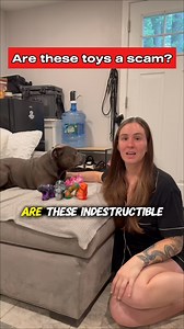 16K views · 104 reactions | Hi, I’m Enzo  I’ve been called many...