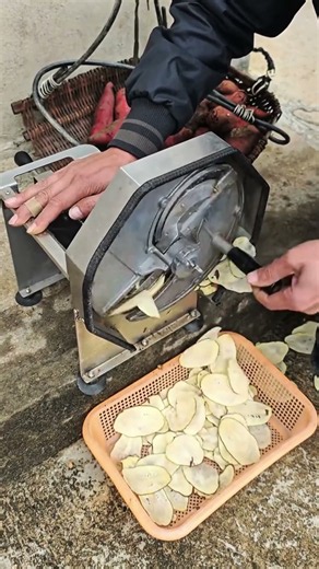 How This Sweet Potato Slicing Machine Creates Thin Slices