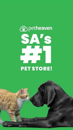All the essentials, all in one place from food and treats to expert advice.💚 Pet Heaven makes it simple to shop smarter and care better 🐾 Get vet-approved support and doorstep delivery in just a few taps🛍️ | Pet Heaven