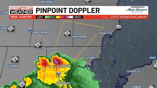 32K views · 118 reactions | #FirstAlertWeather: The National Weather Service has issued a SEVERE THUNDERSTORM WARNING effective until Jul 08 9:00PM EDT for the following counties: Ogemaw, Arenac, Iosco. Get to shelter IMMEDIATELY if you are in the path of this storm, and get the latest information at wnem.com/weather/alerts. | WNEMTV5news | Facebook