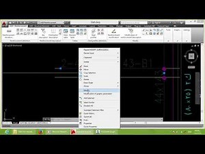 Autocad Structural Detailing-Slab