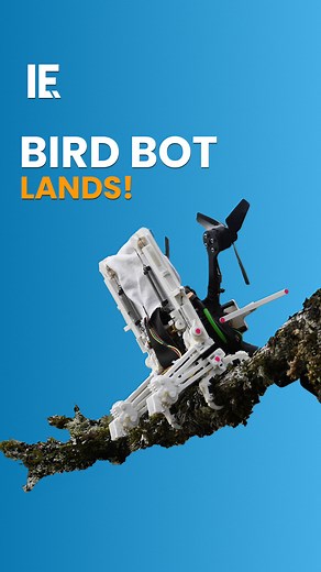 19K views · 121 reactions | Stanford engineers create a robot mimicking bird perching, promising future tech leaps. | Interesting Engineering | Facebook