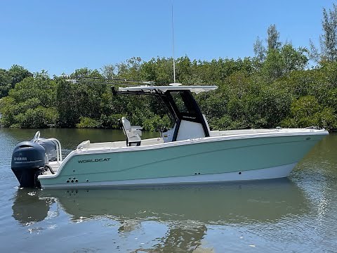 The All New World Cat 260CC X Walk Through