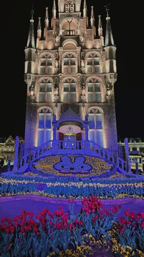 Miffy Wonder Square, a New Area at Huis Ten Bosch, Opens June 21st ✈️Travel from Osaka to Nagasaki🚄 After sightseeing in Osaka and Kyoto from Kansai International Airport, travel to Kyushu with a budget-friendly JR pass! 🎫Sanyo-San'in Northern Kyushu Pass Enjoy unlimited rides on the shinkansen and limited express trains (within the designated area)✨ Valid for 7 days, with the freedom to get on and off at any stop along the way! 💰JPY 26,000 📍Must-visit: Huis Ten Bosch (Nagasaki Prefecture) T