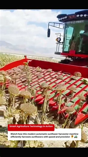 Automatic Sunflower Harvester Machine | Modern Agriculture Technology