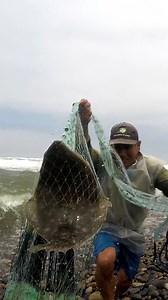 Es un Experto pescando con Tarraya en Mar Agitado, Mira las Técnicas de #pesca que Usa. | Zona de PESCA