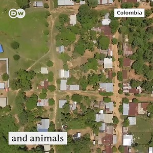 2.1K views · 46 reactions | In times of climate change, every tree is important. So these volunteers in Colombia have started to collect regional seeds and grow trees in nurseries in preparation for planting. Do you have a similar initiative in your local area? | DW Environment | Facebook