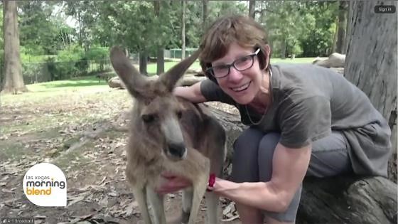 Anne Abel’s High Hopes: How Bruce Springsteen Inspired a Life Reinvention